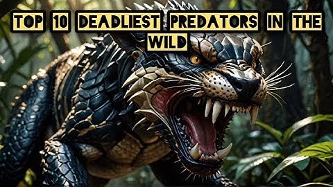 Top 10 DEADLIEST Predators in the wild!