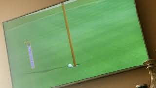 Wii Sports Club golf is very realistic with no flaws whatsoever.