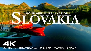 [4K] SLOVAKIA 🇸🇰 BRATISLAVA 2024 | 1 Hour Drone Aerial of the Slovak Republic | Slovensko Slovenská
