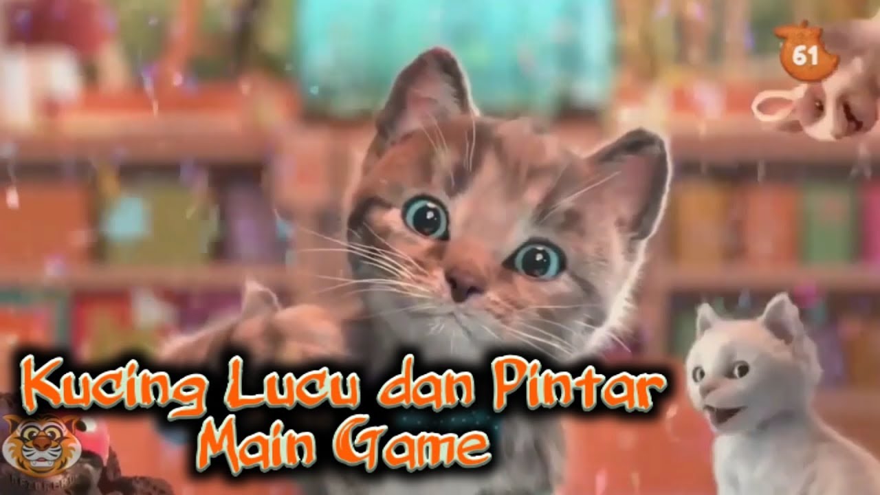  Kucing  lucu dan  pintar bermain game film  kartun  anak 