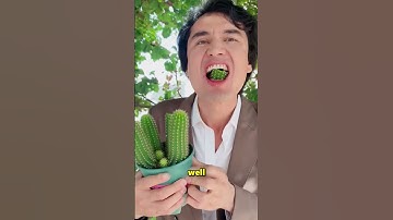 Thumbnail of Why Do These People Eat Cactus? 🤔