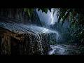Goodbye Insomnia with Heavy Rain & Thunder Growls on a Stale Tin Roof in Foggy Murky Forest at Night