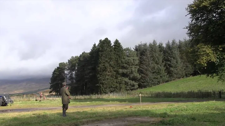 The Shooting Show - evening duck flight and Ian Greensitt interviewed