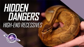 Hidden DANGERS of High-End Recessive Projects | #ballpython #snake #reptiles #ballpythons