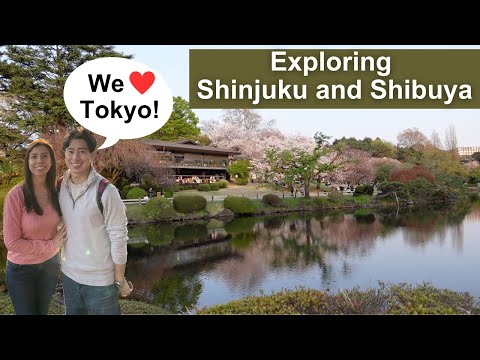 Exploring Shinjuku and Shibuya - Spending our first full day in Tokyo in the busiest neighborhoods!