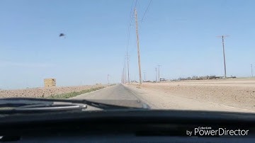 VW bug - Ecotec 2.4 liter