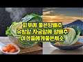 피부에 좋은양배추#유방암.자궁암에 양배추드세요