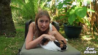 Asmr Relaxing Garden Triggers With Cat