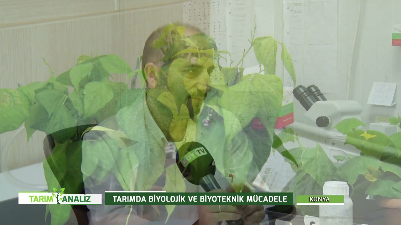 TARIM ANALİZ - TARIMDA BİYOLOJİK VE BİYOTEKNİK MÜCADELE
