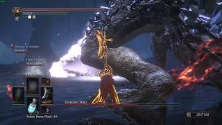 Somewhere In Lothric Ballad Of Miss Peppers