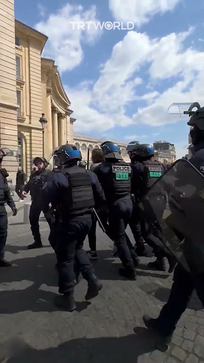 Pro-Palestinian protester aggressively tackled by Paris police