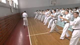 картинка: Сборы Артура Ованесяна в Перми 31.01.2014-01.02.2014 (второй день - младший поток)