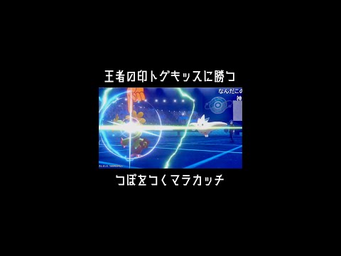 ソードシールド マラカッチの種族値 わざ 特性など能力と入手方法 ポケモン剣盾 攻略大百科