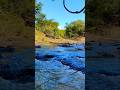 "Este vídeo apareceu na sua tela por um motivo #palavrasdefé #shorts #natureza #oração #gospel