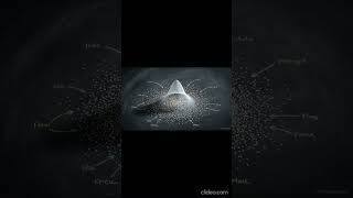 What is probability and statistics