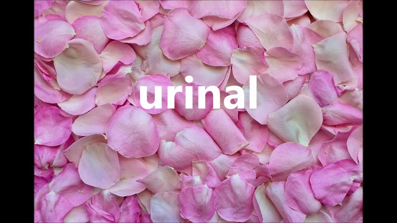 How to pronounce urinal? urinal pronunciation YouTube