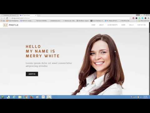 BE WORDPRESS THEME COMPLETE TUTORIAL