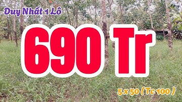 Đất Dầu Tiếng | CHỈ DUY NHẤT CÒN 01 LÔ 5 X 50 ( TC 100 ) GIÁ RẺ#576