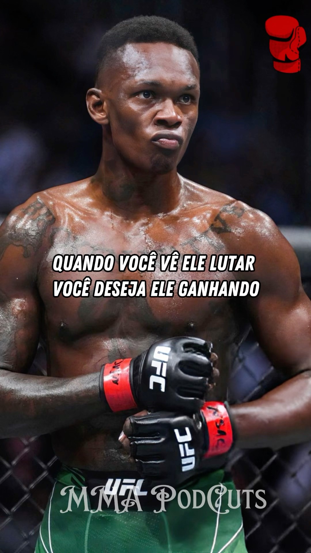 ALEX PEREIRA SOBRE ISRAEL ADESANYA #mma #luta #boxe #ufc #shortsfeed #brasil #foryou
