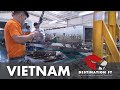 Tour of Starwood Furniture facility in Binh Duong Province, Vietnam