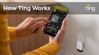 Ting Electrical Fire Prevention - Explainer Video 2023