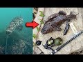 Catch and Cook BOILED Fish ** Underwater Fishing Camera