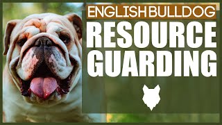 How To Stop Your ENGLISH BULLDOG RESOURCE GUARDING