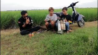 Gara-gara rasta-botagearista versi ukulele kendang [COVER] RRS