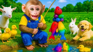 Download Lagu Monyet BIBI gembira memancing ikan pelangi raksasa bersama anjing, bebek, dan kelinci MP3