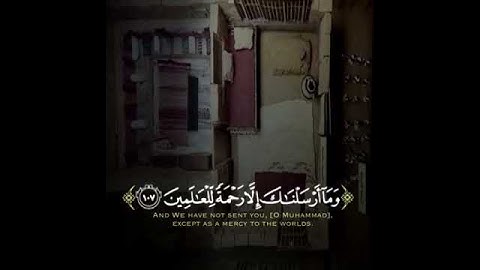 أجمل تلاوة هادئه حالات واتس اب قرآن كريم  #quran #بدون_حقوق