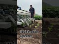 Precision Agriculture & Nursery Seedling | Smart Farming Explained #precision #agriculture #nursery