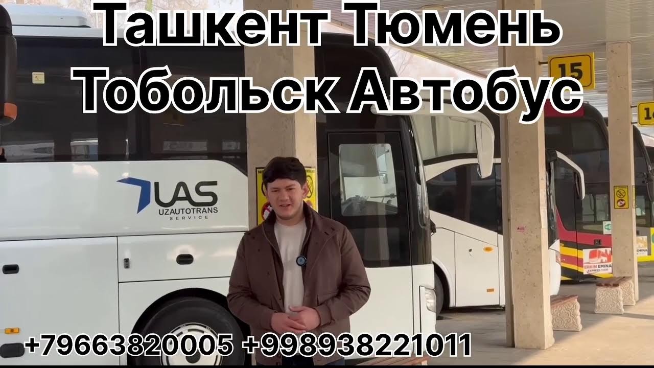 узбекистан тюмень автобус