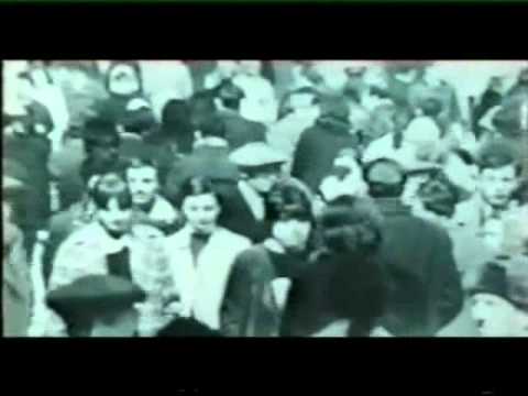 როცა აყვავდა ნუში