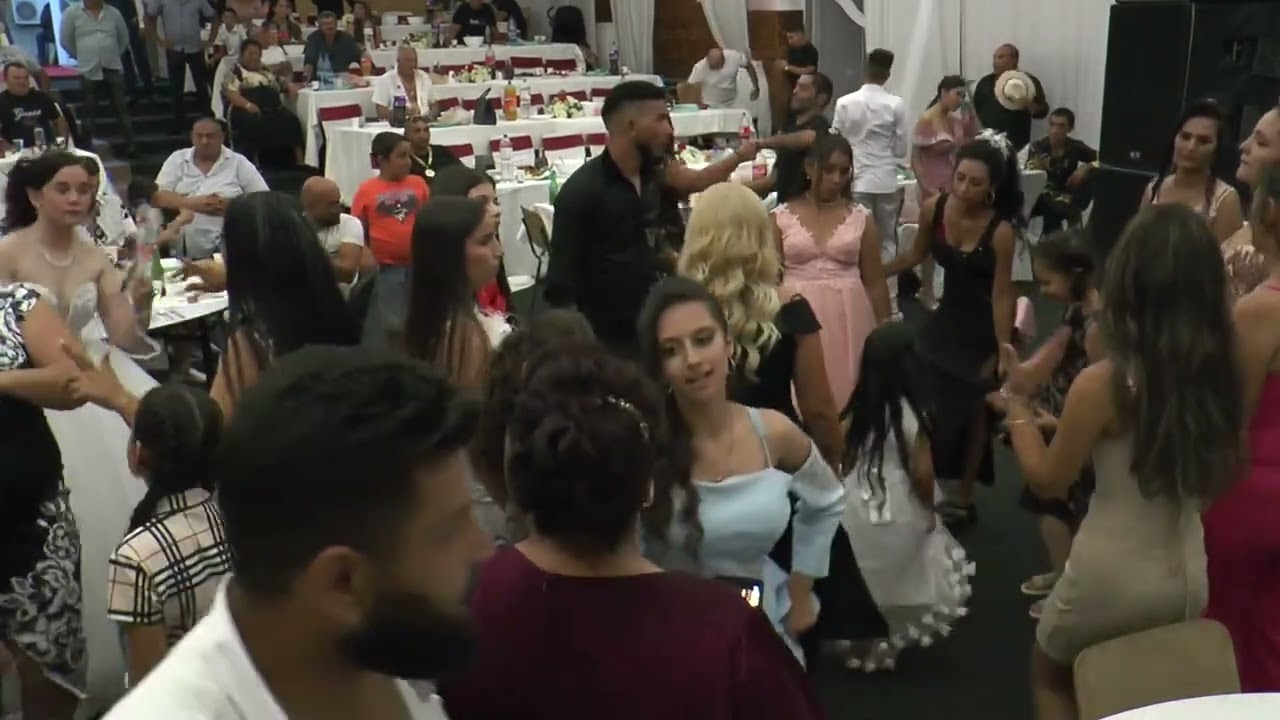 ghiocel novacovici camera / nunta carpinis de la liviu milivoi 01/08/2024 (30