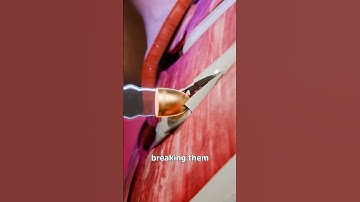 "How a Bullet Goes Through a Body! 😦 | Shocking Physics Explained | #Shorts #3danimation