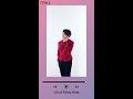Stray Kids CALL Spotify Canvas Full Ver Stray Kids CALL Spotify Canvas Full Ver