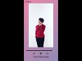 Stray Kids 『CALL』 Spotify Canvas Full Ver.