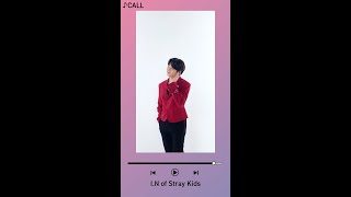 Stray Kids 『Call』 Spotify Canvas Full Ver.