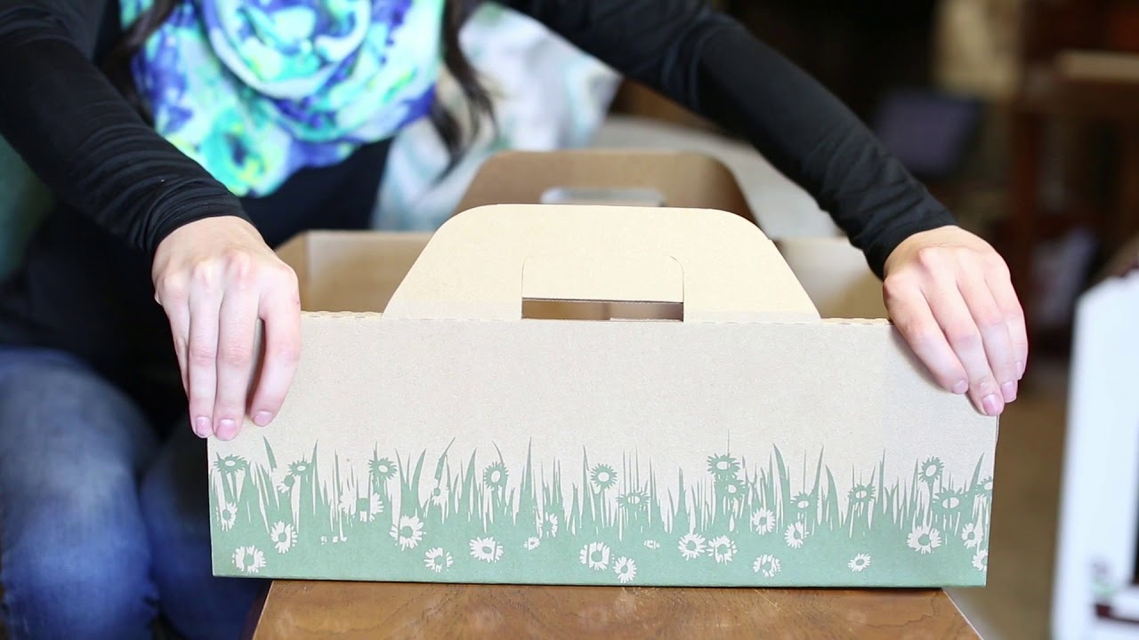 Ten Second Litter Box YouTube