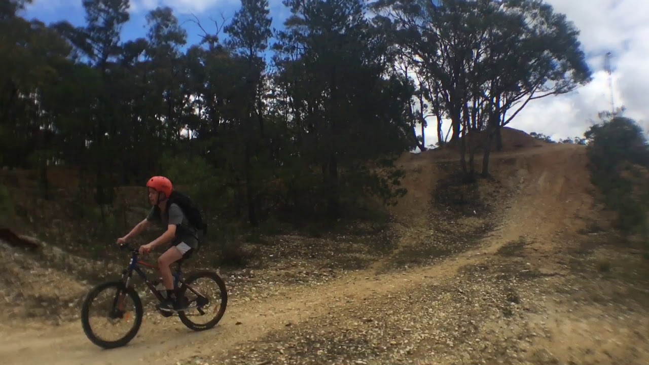 MTB riding at Hobbs road Gisborne