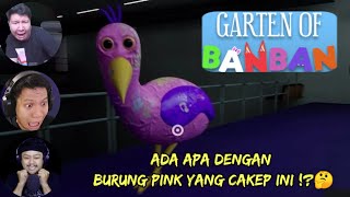 Reaksi Windah Basudara,Aci GameSpot,Dan Viidee Di Kejar Burung Pink Yang Lucu - Garten Of BanBan