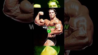 How Much Could Arnold CURL In His Prime? 🗿💪| #arnoldschwarzenegger #mrolympia #bodybuilding #gym