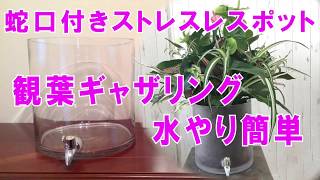 観葉植物のプランツギャザリング蛇口がついているガラスの器で水やり簡単【ストレスレスポット】