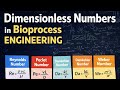 Lecture- 2 Dimensionless Groups (numbers) in Bioprocess engineering