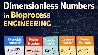 Lecture- 2 Dimensionless Groups (numbers) in Bioprocess engineering 