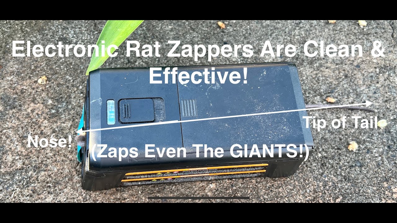 Victor Pest RZC001-4 Rat Zapper Classic Electronic Rat Trap