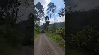 Jalan Lintas Pulau Panggung Babatan Semende 