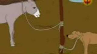 Donkey And Dog Funny (sunny) Donkey And Dog Funny (sunny)