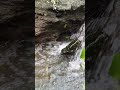 Nature's Lullaby: Water Sounds for Sleep #nature #waterfall #watersounds
