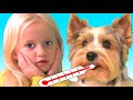 My Dog is Sick Song + more Songs and Video for Children with Katya and Dima